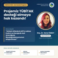 Akademisyenimizden TÜBİTAK Başarısı